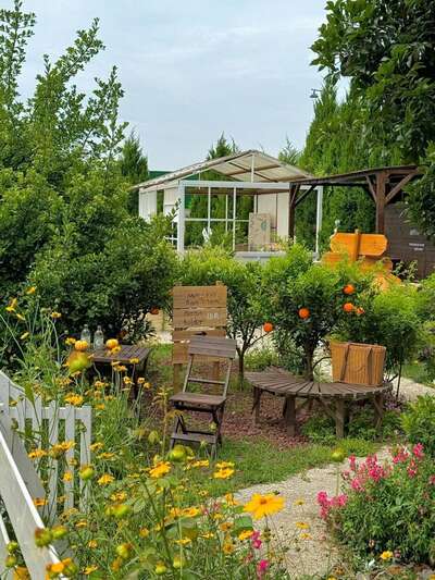 hz/别墅/江边洋房1